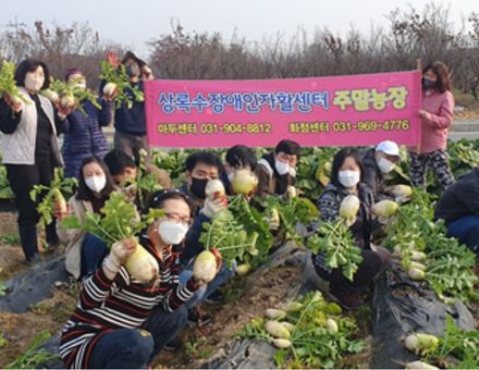 주말농장